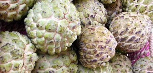 عبارات الغزل عالطريقة اللبنانية