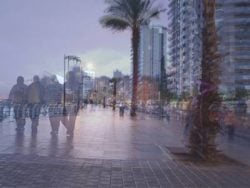 Corniche at once : The five lanes 24 hour life span