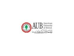 The AUB Interventions