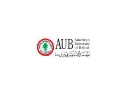 The AUB Interventions