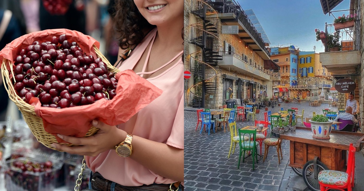 Join In On Hammana's CherryPicking Festival This Weekend! »