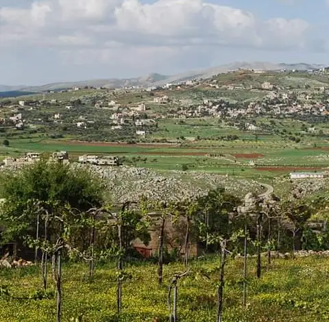 تنورة