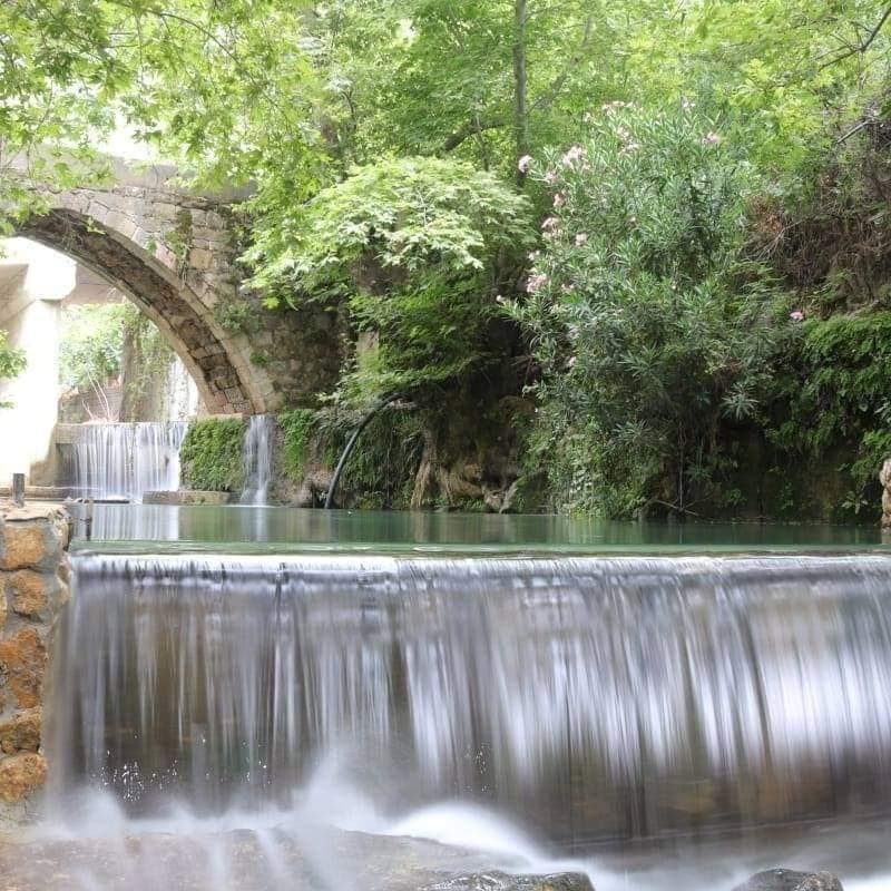 منتزه ومطعم الجسر.