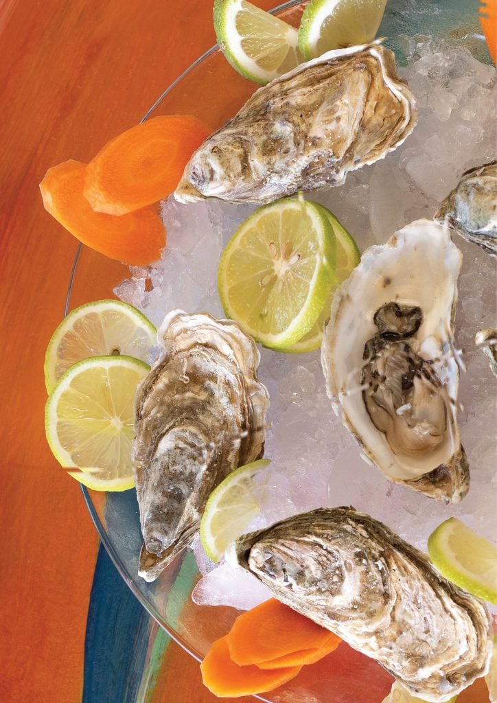 Oyster's