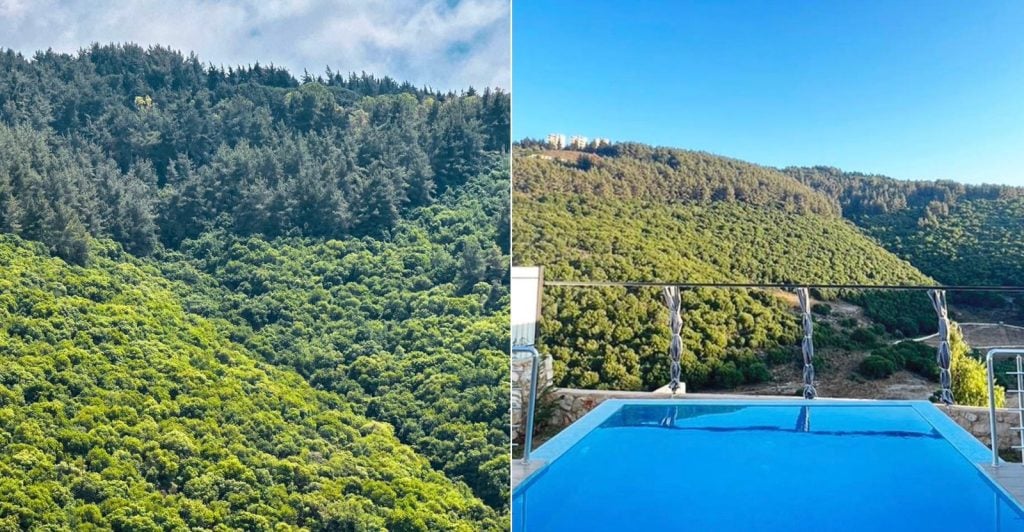منتجع Pine Valley