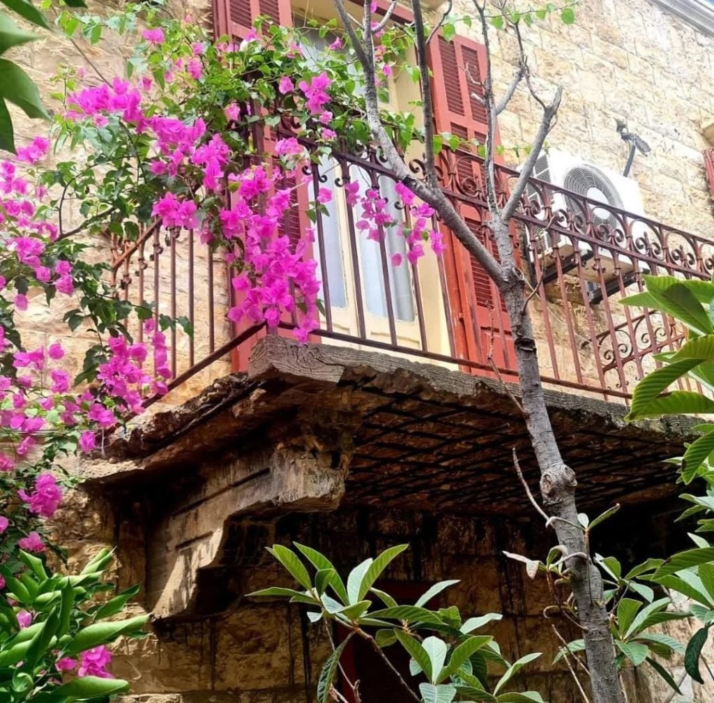 دار صعب