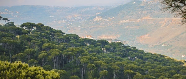 Bkassine
