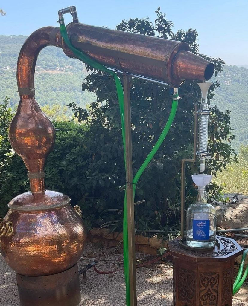  أرض برمانا
