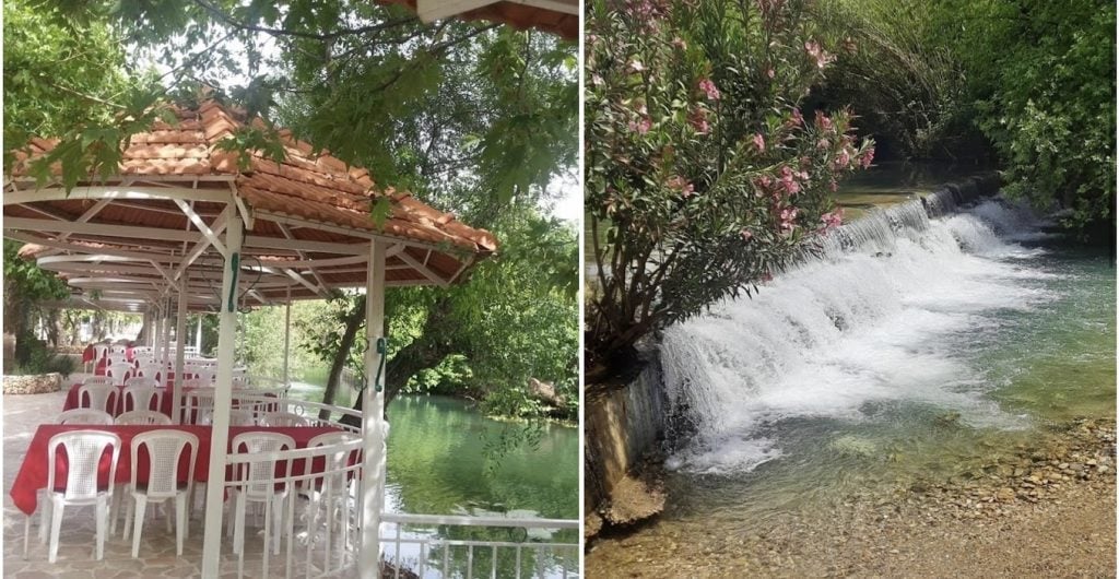 المطاعم الصيفية