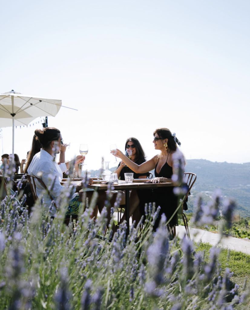 Sept Winery - Nehla, Lebanon