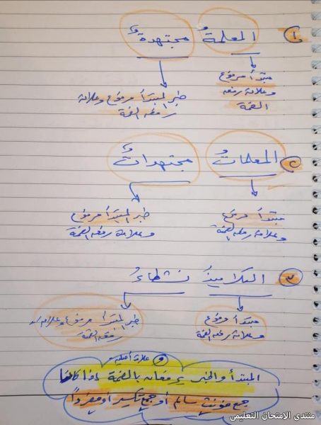 ذكريات المدرسة