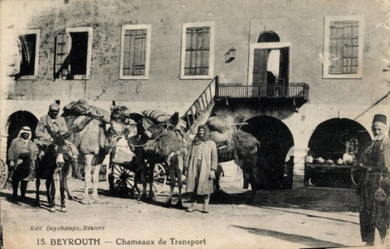 Old Beirut, Transportation Camels (1890s)
