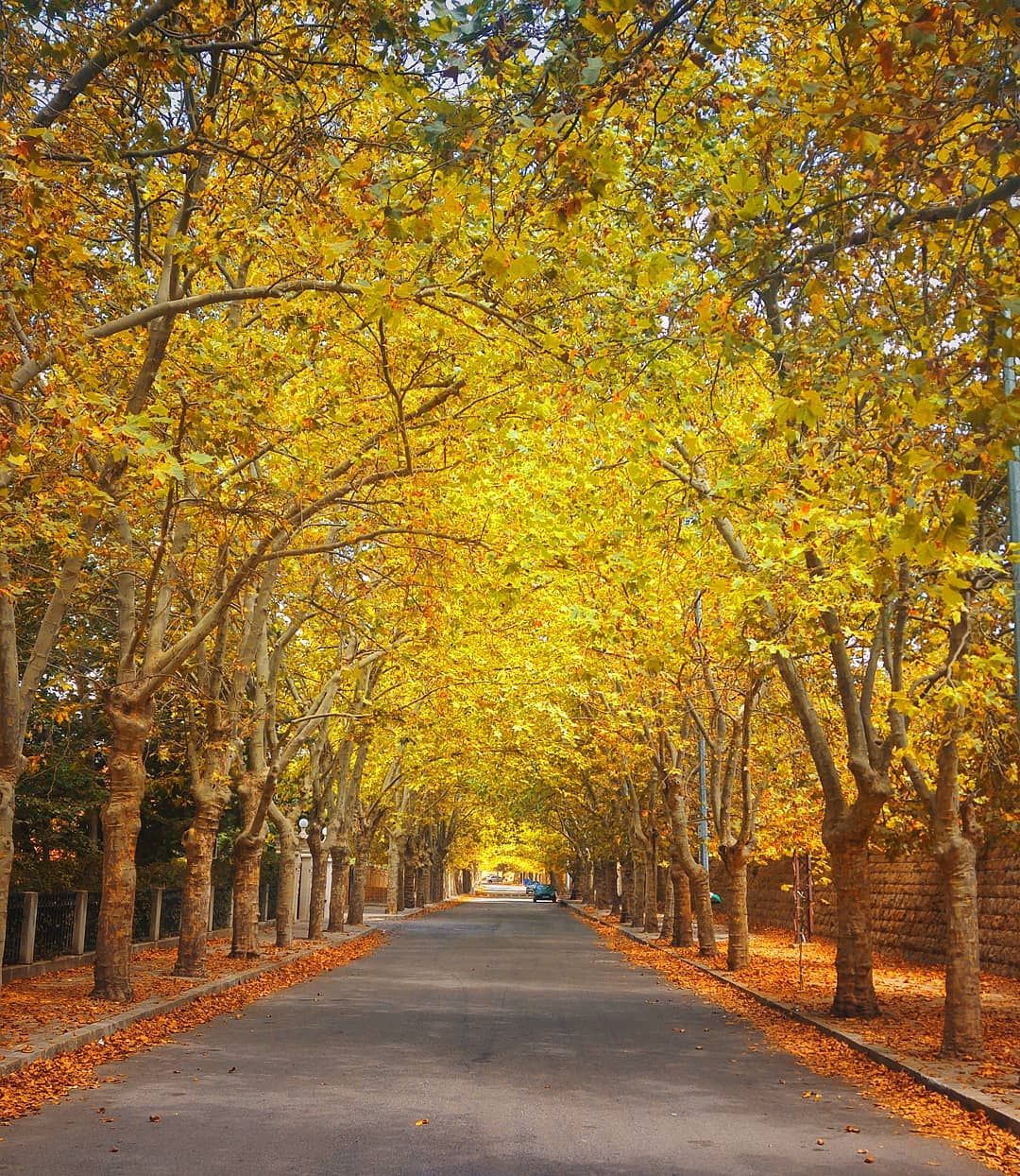 Autumn in Lebanon