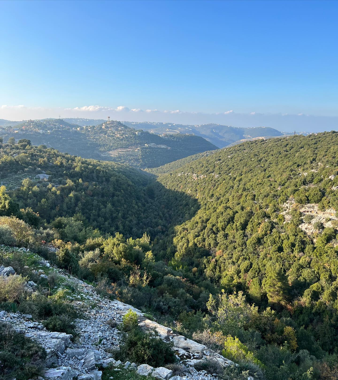 أسامي الضيع اللبنانية