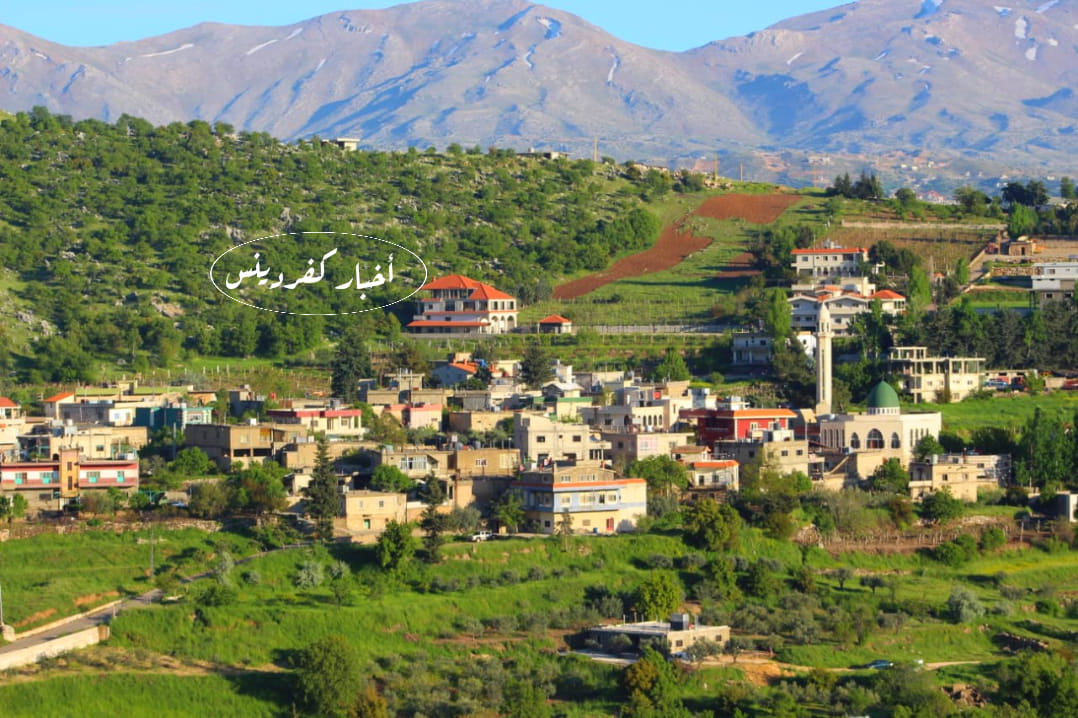 أسامي الضيع