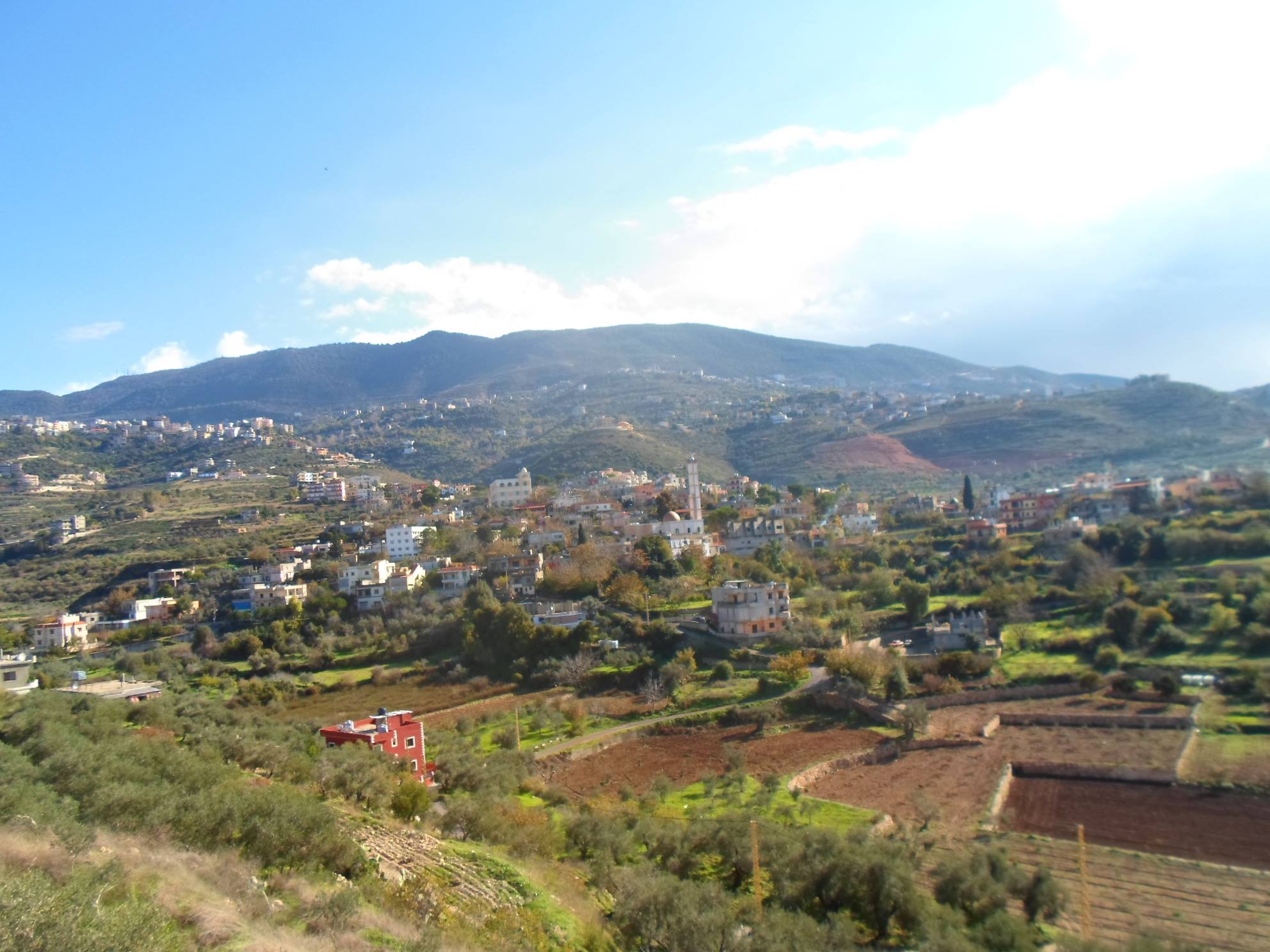 أسامي الضيع