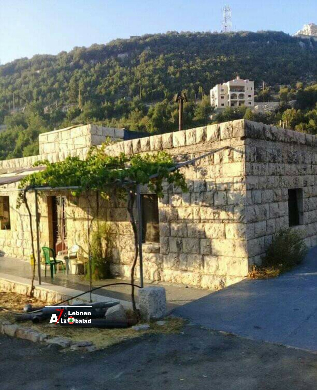 ١٠ عبارات مهضومين علمنا ياها جدو وشو بتعني!