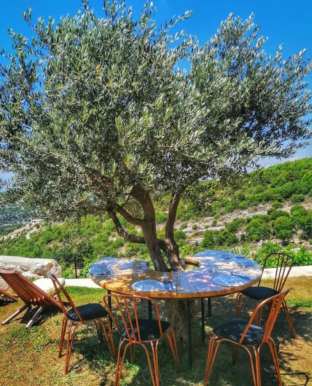 ٧ معاصر نبيد لازم تزوروهن مع حبيبكن بلبنان