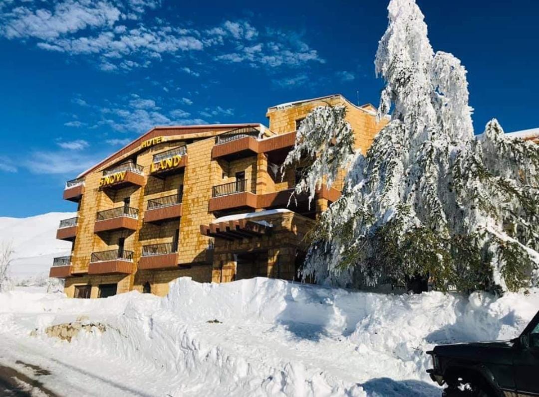 ٣ بيوت ضيافة وأوتيلات بضيعة بسكنتا