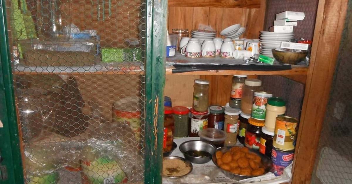 شو قصة النملية يلي بتلاقوها بكل بيت ضيعة بلبنان!