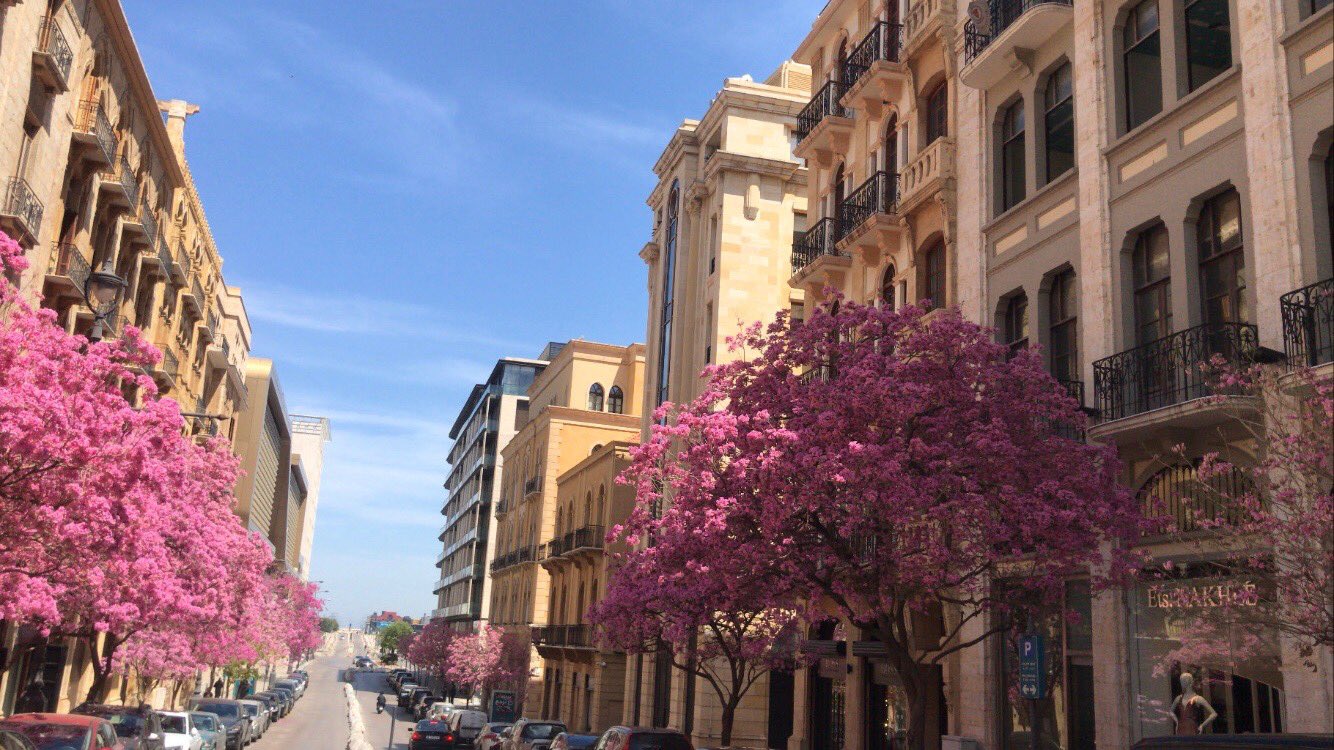 شوفوا معنا ٥٢ متل لبناني مهضوم عن شهر آدار!