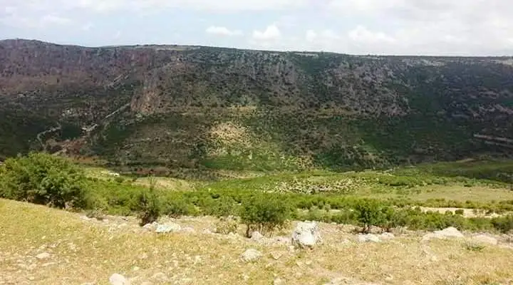 ضيعة منسية بالجنوب: تهجروا أهلها وتركوها بلا رجعة!