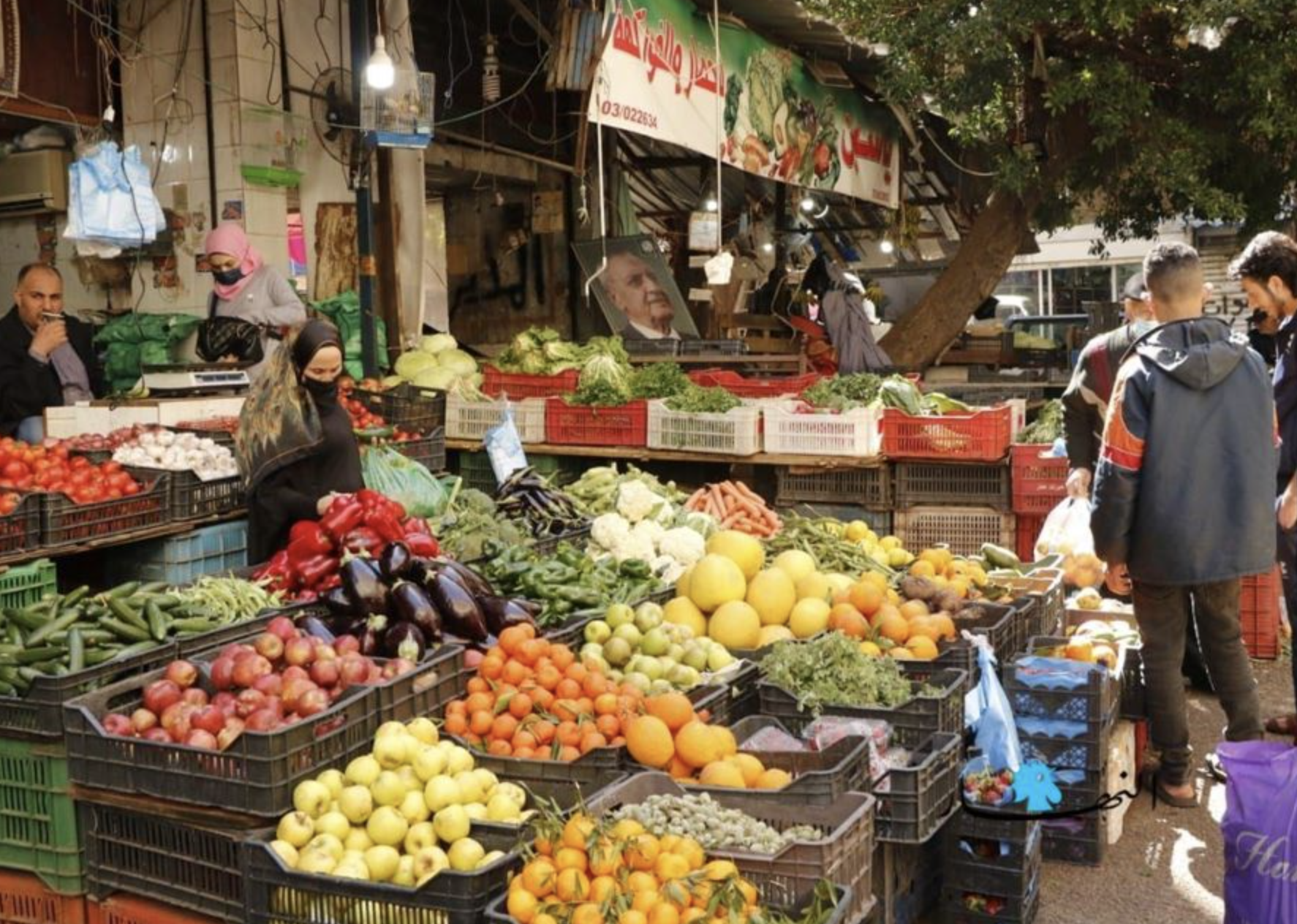 المغترب اللبناني