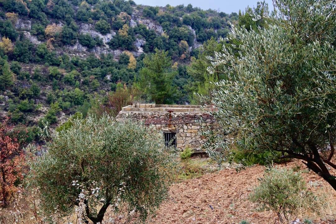 ضيعة منسية بلبنان: تعرفوا على مغارة عبيد