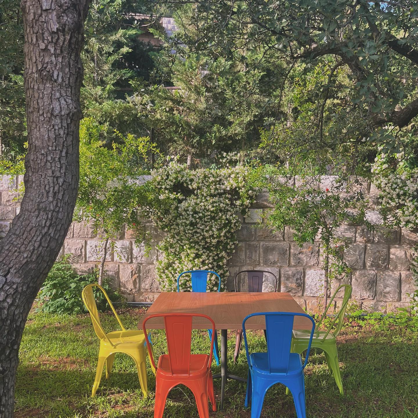 محل جديد مع قعدة ساحرة عم يعمل بوفيه مفتوح الأحد!