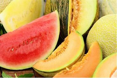 ٢٥ شغلة بتجمع كل البيّات اللبنانية!