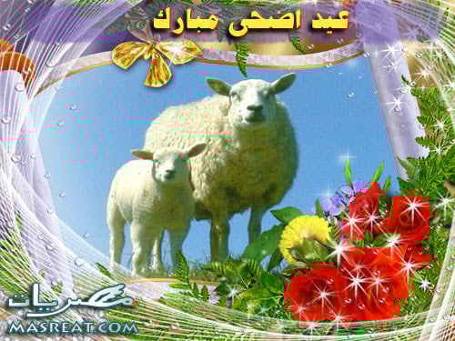 أضحى