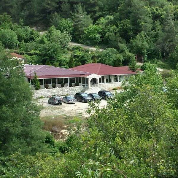 ٧ مطاعم قاعدين بقلب الغابات بلبنان