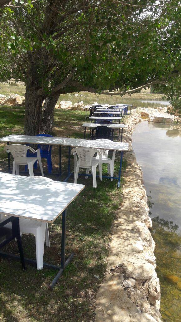 ٤٠ مطعم مع قعدة على النهر والشلالات بلبنان