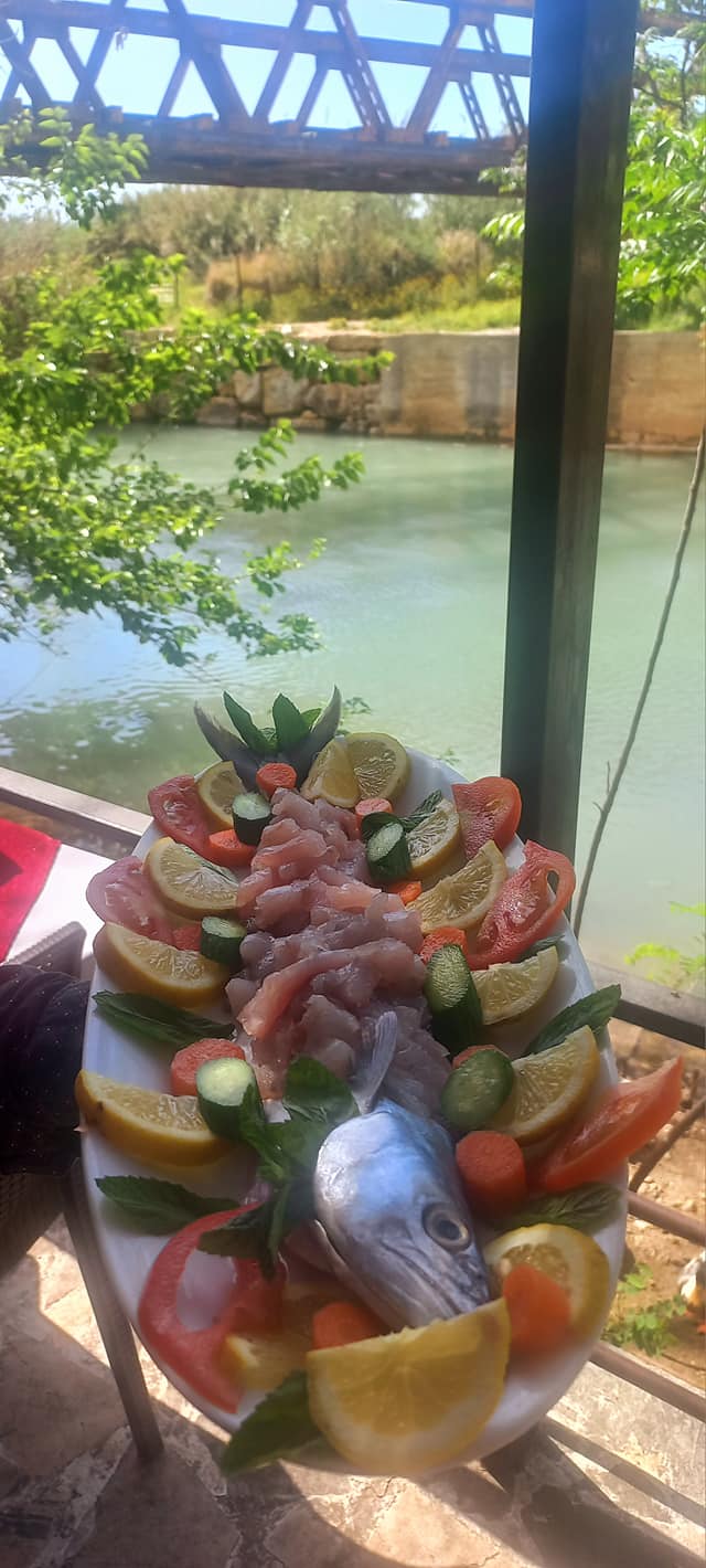 ٤٠ مطعم مع قعدة على النهر والشلالات بلبنان