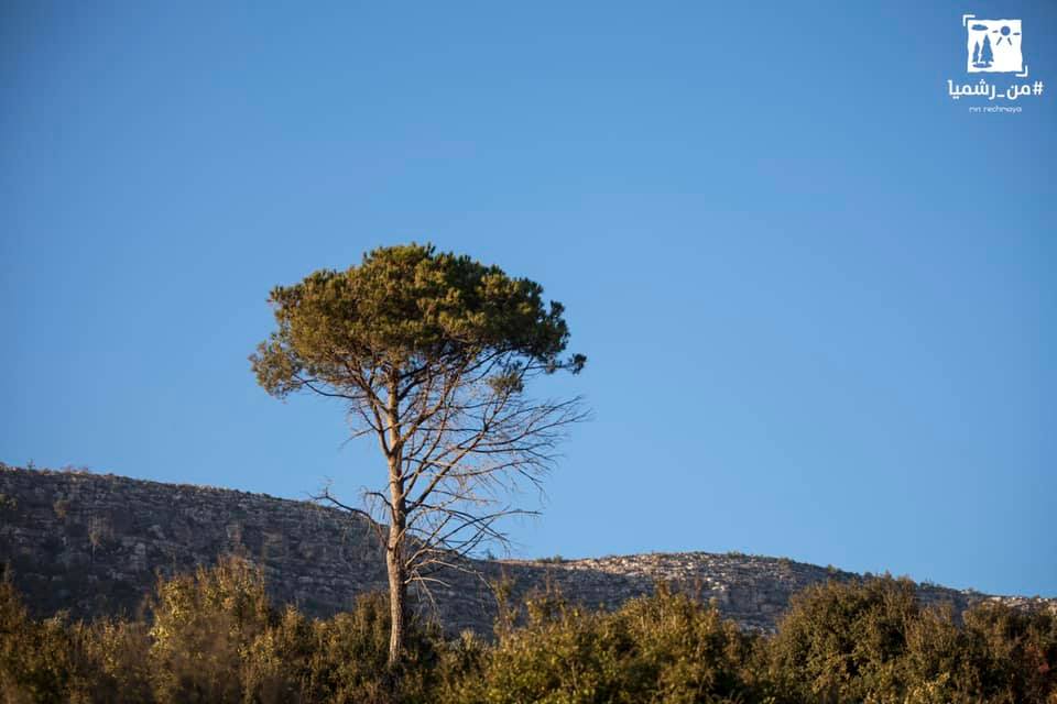 ١٣ شغلة فيكن تعملوها بضيعة رشميا