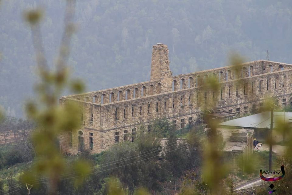 ١٣ شغلة فيكن تعملوها بضيعة رشميا