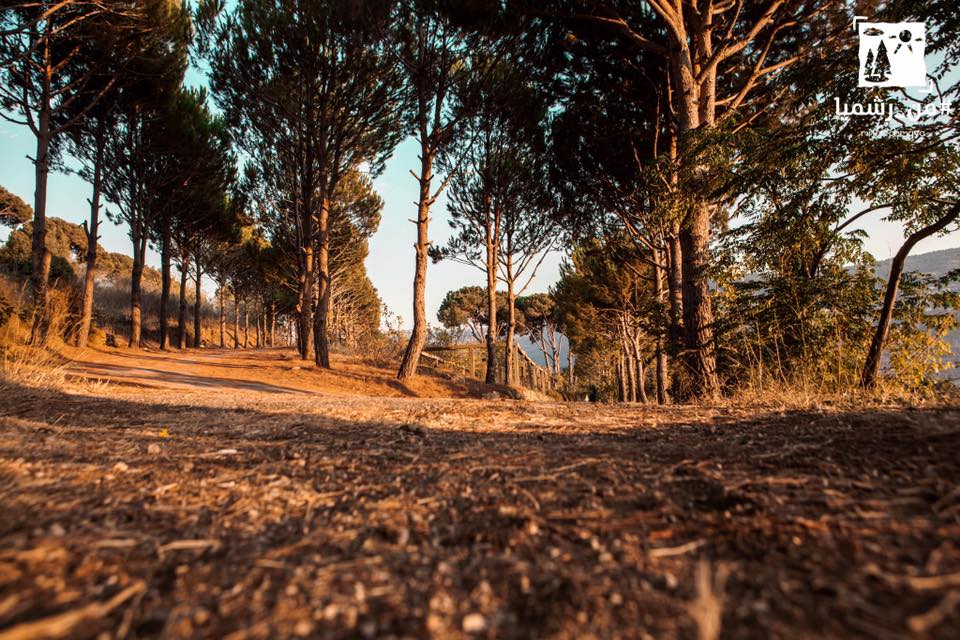 ١٣ شغلة فيكن تعملوها بضيعة رشميا