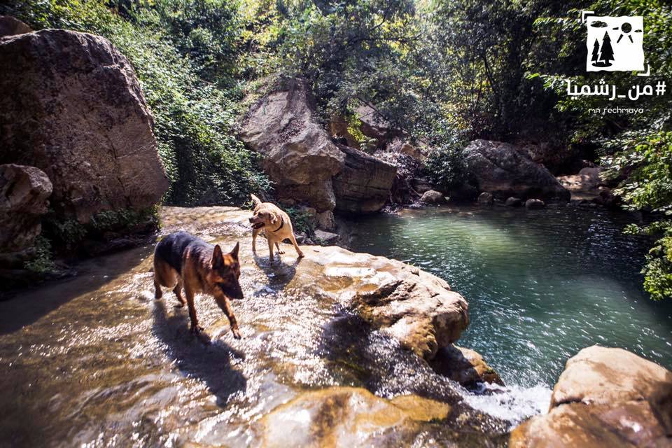 ١٣ شغلة فيكن تعملوها بضيعة رشميا