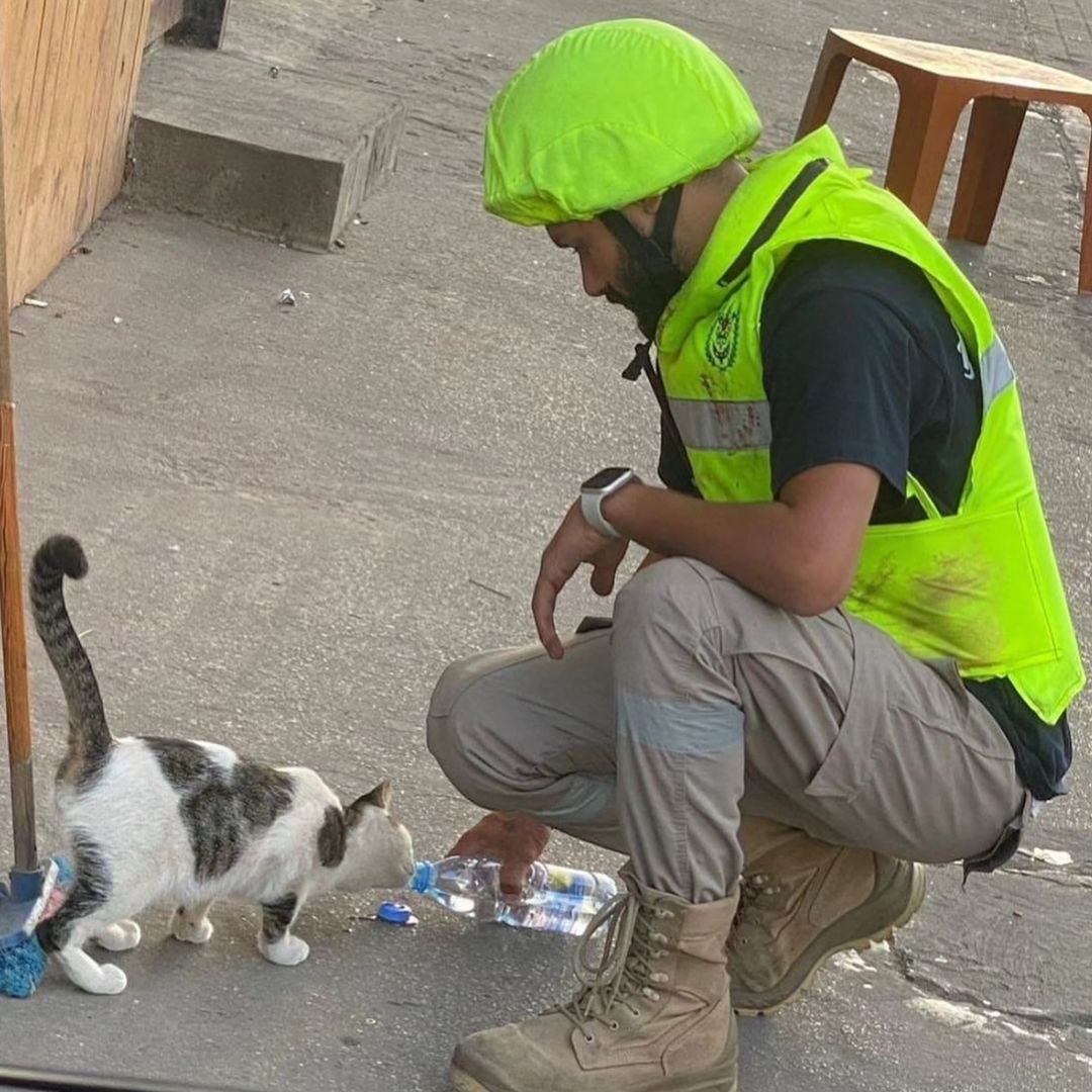 التضامن اللبناني