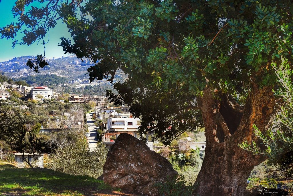 ضيعة من الجنوب