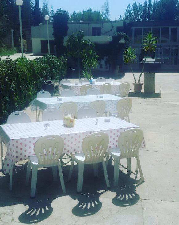 وين فيكن تاكلوا بطاريا؟