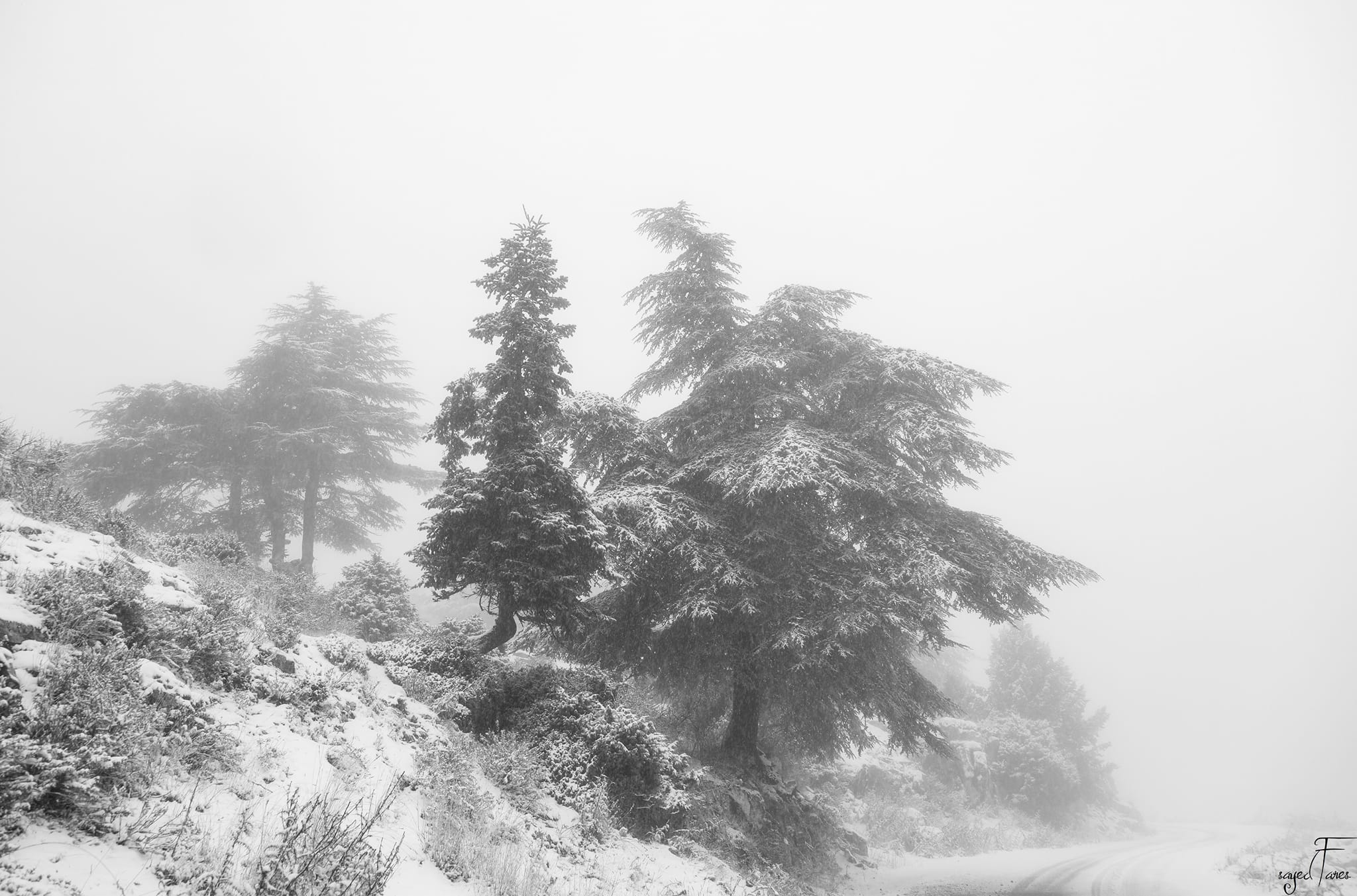 بالصور: بياض التلج غطى جبال لبنان!