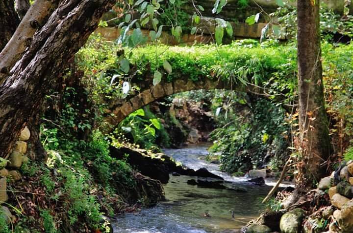 شو قصة جسر اللوزية لي حكيت عنو فيروز؟