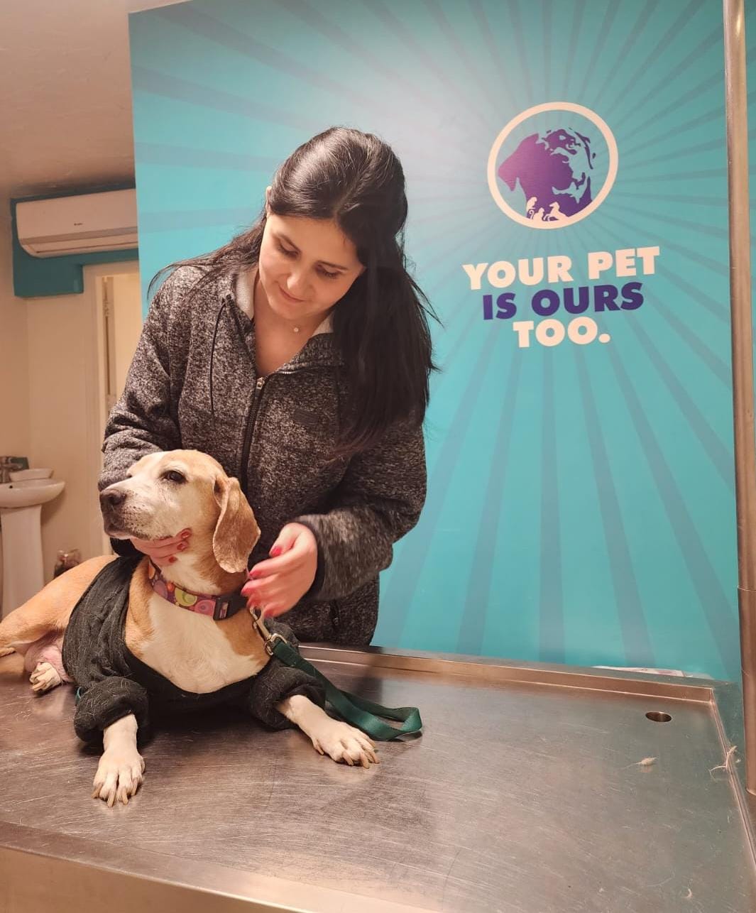 Help 50+ Dogs in Lebanon Have a Better Future This Christmas!