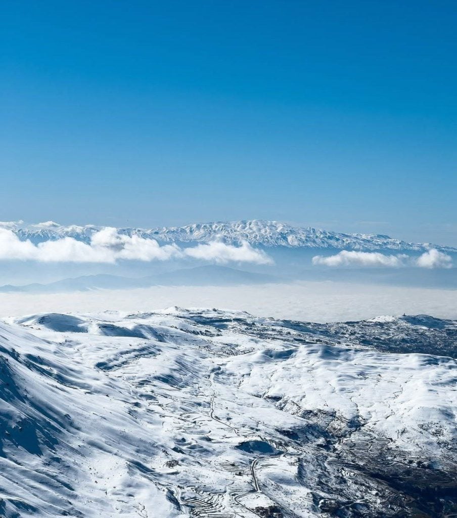 أجمل صور بيسيتات لبنان على التلج!