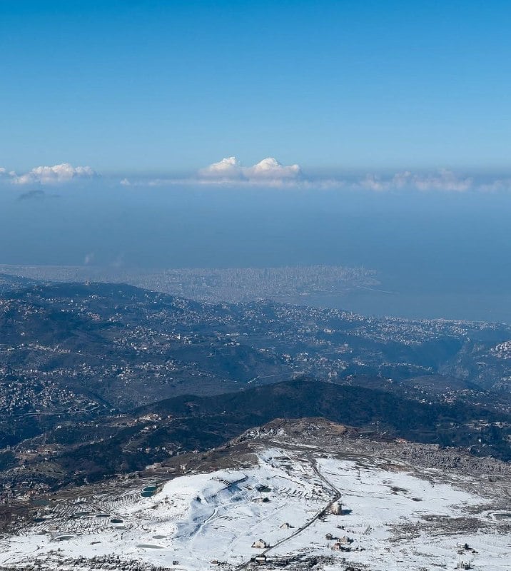بيسيتات لبنان