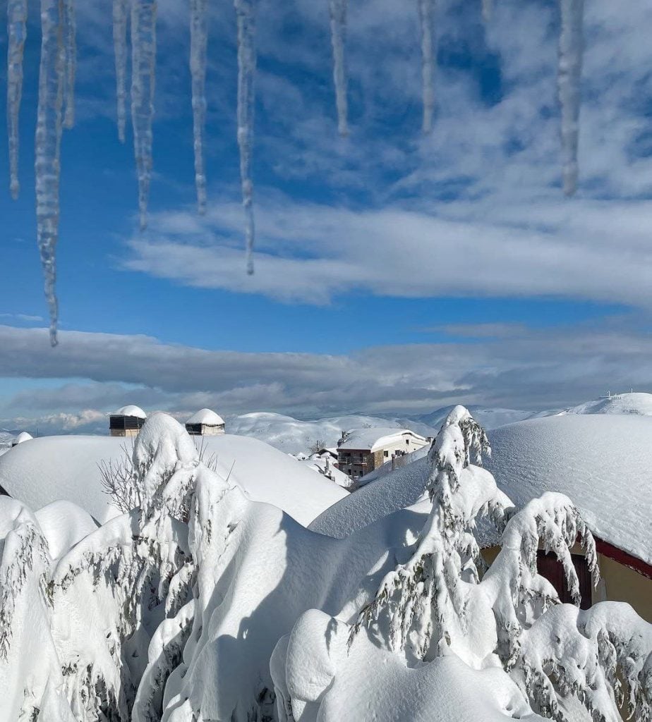 بيسيتات لبنان