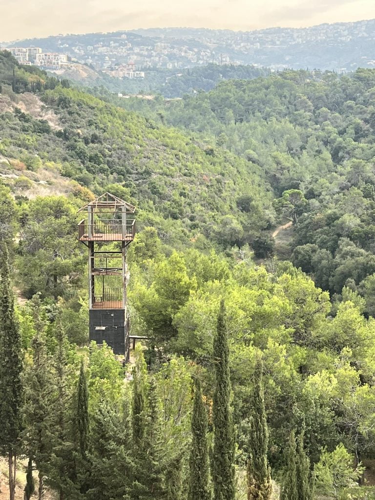 غابة خندق الرهبان