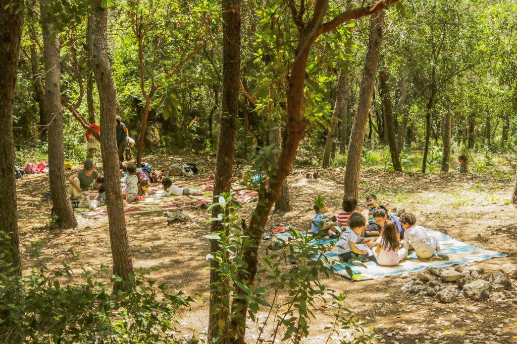 day in the forest horshna