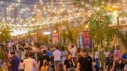 14 Festivals Taking Over Lebanon This October 2025